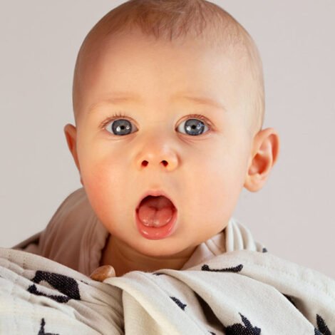 Echarpe de portage tissée les Oiseaux